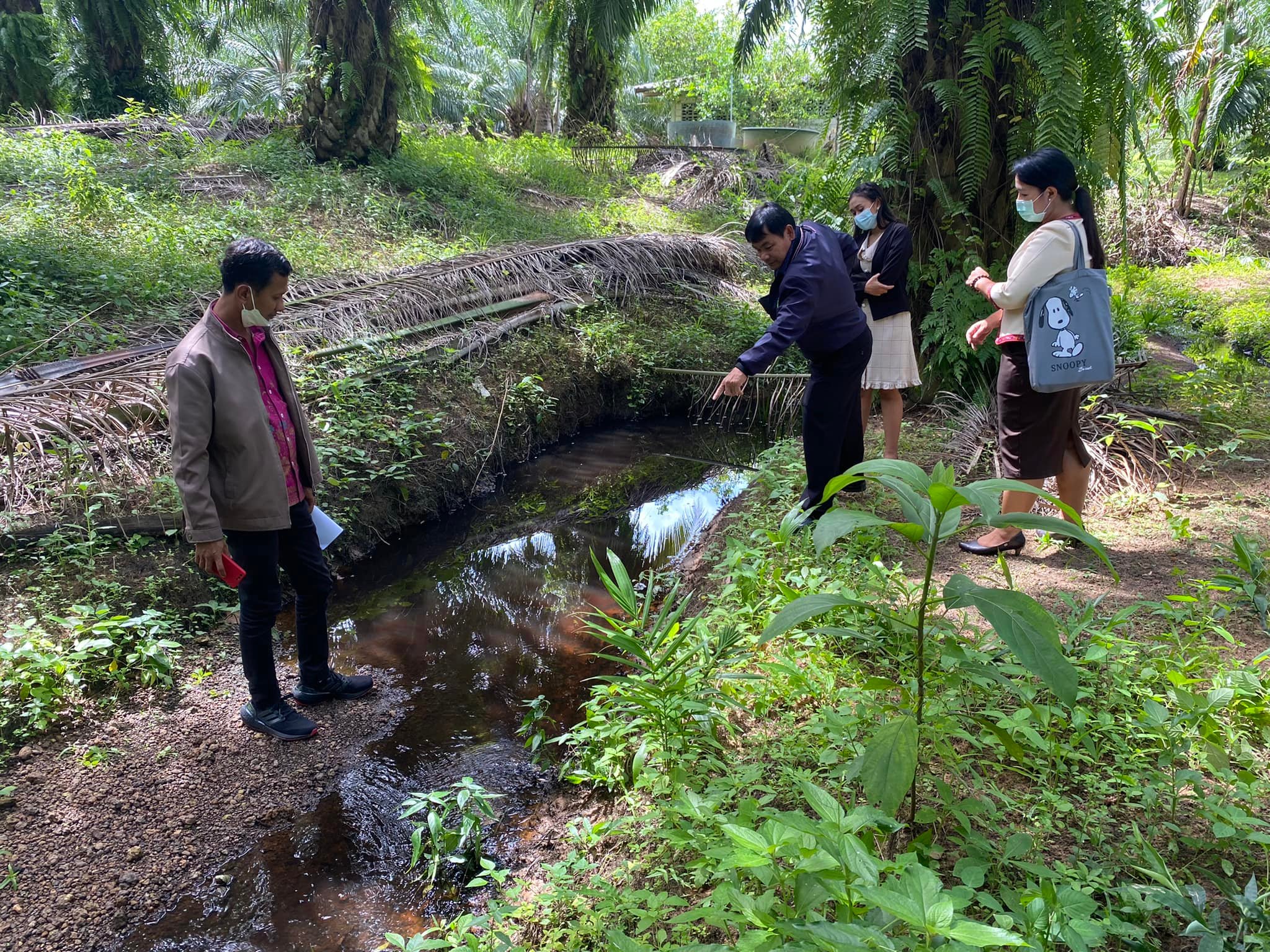 #ศูนย์ดำรงธรรมเทศบาลตำบลกระบี่น้อย